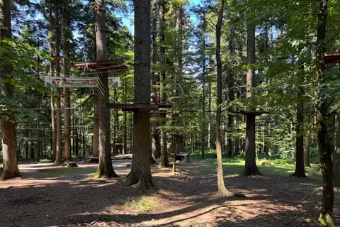 Symbolbild: Hochseilgarten im Wald